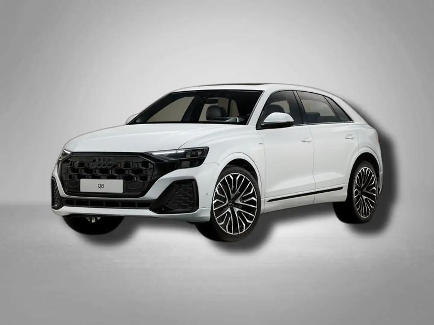 Audi Q8 S line 3.0 TDI 8-Gang-Tiptronic quattro 210 kW ... Weiß - 1