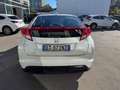 Honda Civic Civic 2012 1.4 You Tech Benzina Blanc - thumbnail 6