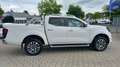 Nissan NP300 N-Connecta Double Cab 4x4 Weiß - thumbnail 6