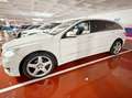 Mercedes-Benz R 350 R 350CDI 4M L Aut. Blanco - thumbnail 2