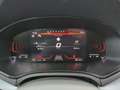 SEAT Ibiza Reference 1,0 GRA+Shzg.+Einparkh.+CarPlay Grau - thumbnail 13