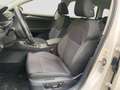 Skoda Superb Combi iV 1.4TSI DSG Style Navi Kamera LED Bianco - thumbnail 10