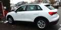 Audi Q3 35 TDI *S-LINE*RFK Weiß - thumbnail 4