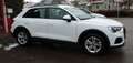 Audi Q3 35 TDI *S-LINE*RFK Weiß - thumbnail 1