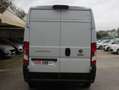 Fiat Ducato L3H2.Q.35.P. Lungo.  Navi.Tel.C.Control.Tetto.A Bianco - thumbnail 5
