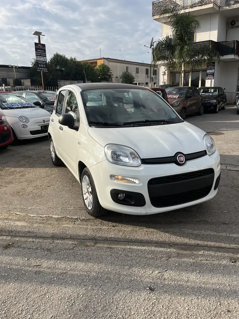 Fiat New Panda 1.2 benzina 69 cv - 2