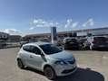 Lancia Ypsilon 1.0 firefly hybrid Platino / NO VINCOLI Blu/Azzurro - thumbnail 1