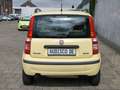 Fiat Panda Natural Power CNG 2Hd AllSeason Tires TÜV NEU Gelb - thumbnail 6