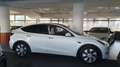 Tesla Model Y /ACC/Autopilot/Leder/LED/Pano/Standheiz Weiß - thumbnail 4