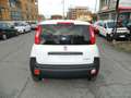 Fiat Panda VAN 1.0 Firefly 70CV HYBRID 2P E6D - KM ZERO ITA Bianco - thumbnail 5