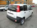 Fiat Panda VAN 1.0 Firefly 70CV HYBRID 2P E6D - KM ZERO ITA Blanco - thumbnail 6