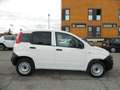 Fiat Panda VAN 1.0 Firefly 70CV HYBRID 2P E6D - KM ZERO ITA Blanc - thumbnail 9
