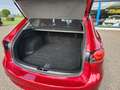 Mazda 6 Sportbreak 2.5 SkyActiv 194pk Automaat, 19 inch, 3 Rouge - thumbnail 12