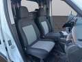 Fiat Doblo 1.4 N.P(ALLESTITO EX RETE GAS-PC-TN)CRUISE-SENSORI Blanc - thumbnail 14