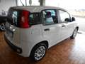 Fiat Panda 1.2 Easy Blanc - thumbnail 3