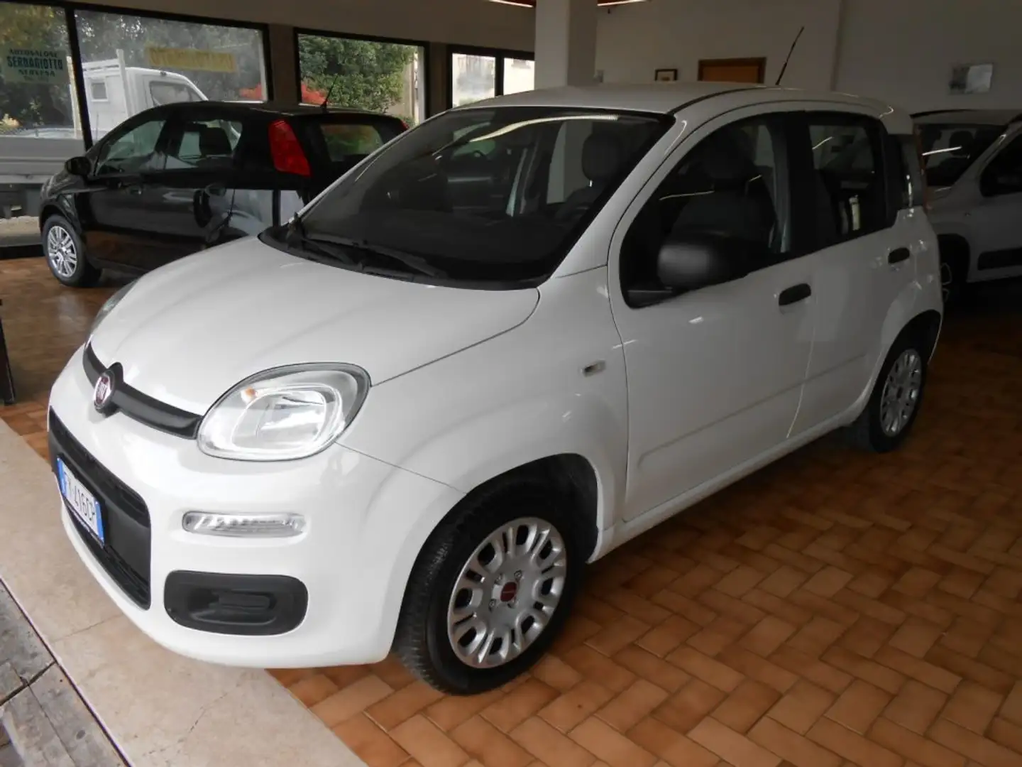 Fiat Panda 1.2 Easy Blanc - 1