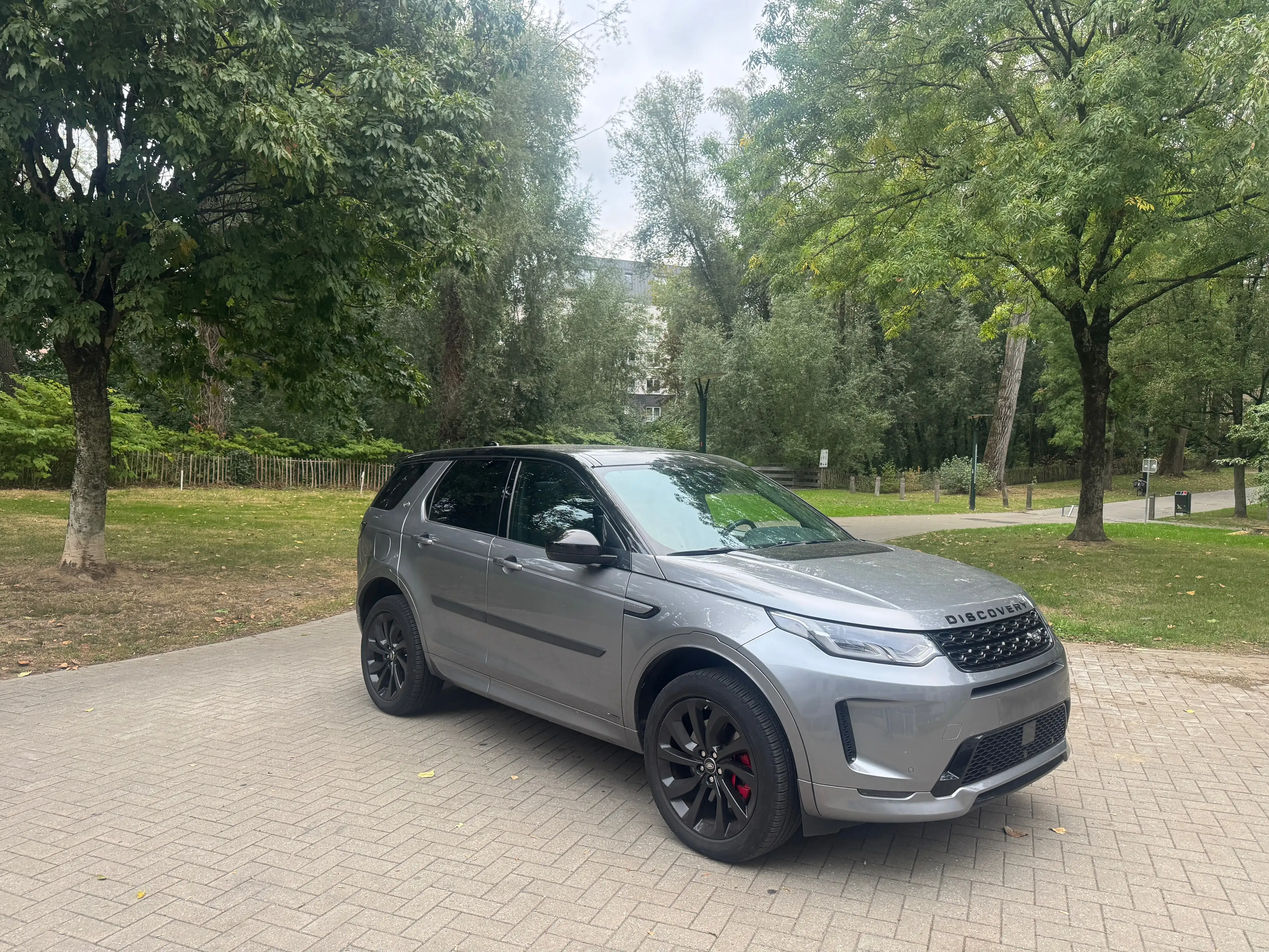 Land Rover Discovery Sport Discovery Sport 2.0 SD4. R-Dynamique  (EU6d-TEMP) — photo 2