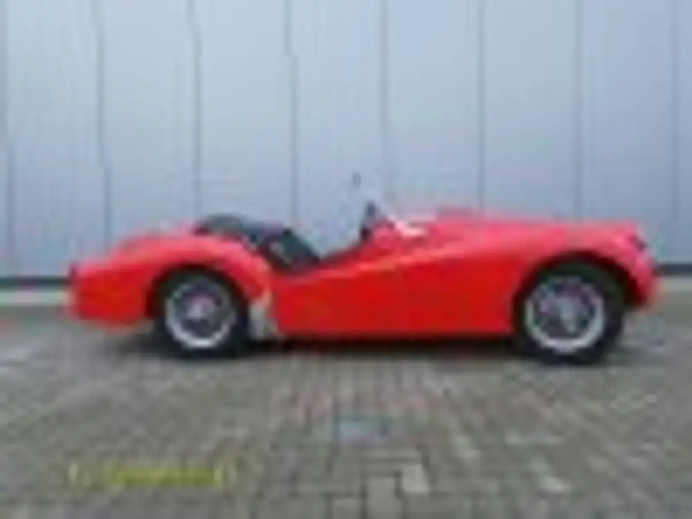 Triumph TR2 Long Door Rot - 1