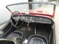 Triumph TR2 Long Door Rot - thumbnail 2