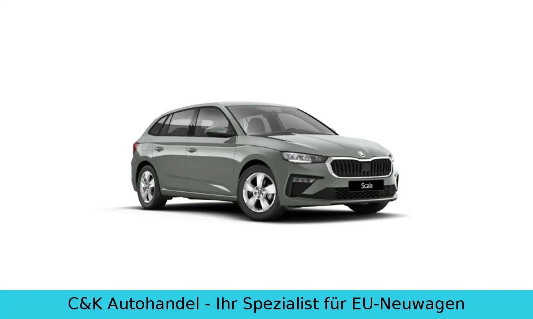 Skoda Scala 130 Jahre 1.0 TSI 70kW / 95 PS 5-Gang Grau - 1