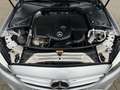 Mercedes-Benz C 200 d T-Modell Avantgarde LED AHK Kamera - thumbnail 32