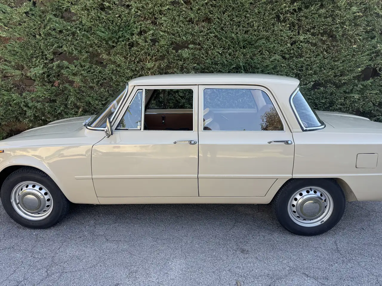 Alfa Romeo Giulia super, foto 3