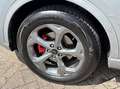 Ford Kuga 2.5 PHEV ST-Line X 243PK Elek. Trekhaak Panodak AG Zilver - thumbnail 13