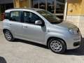 Fiat Panda Panda 1.2 GPL Easy Power Grigio - thumbnail 6