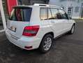 Mercedes-Benz GLK 300 4Matic Navi Pano Xenon Kamera SHZ Weiß - thumbnail 5