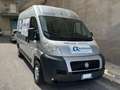 Fiat Ducato Bianco - thumbnail 3