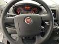 Fiat Ducato SERIE 9 30Q 2.2 MJT 120CV MH1 White - thumbnail 7
