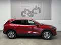 Ford Kuga Hybrid Titanium Aut./NAVI/LED/KLIMAAUT./Sitzhz. Rot - thumbnail 2