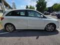 Mercedes-Benz B 160 CDI Automatic Executive Bianco - thumbnail 4