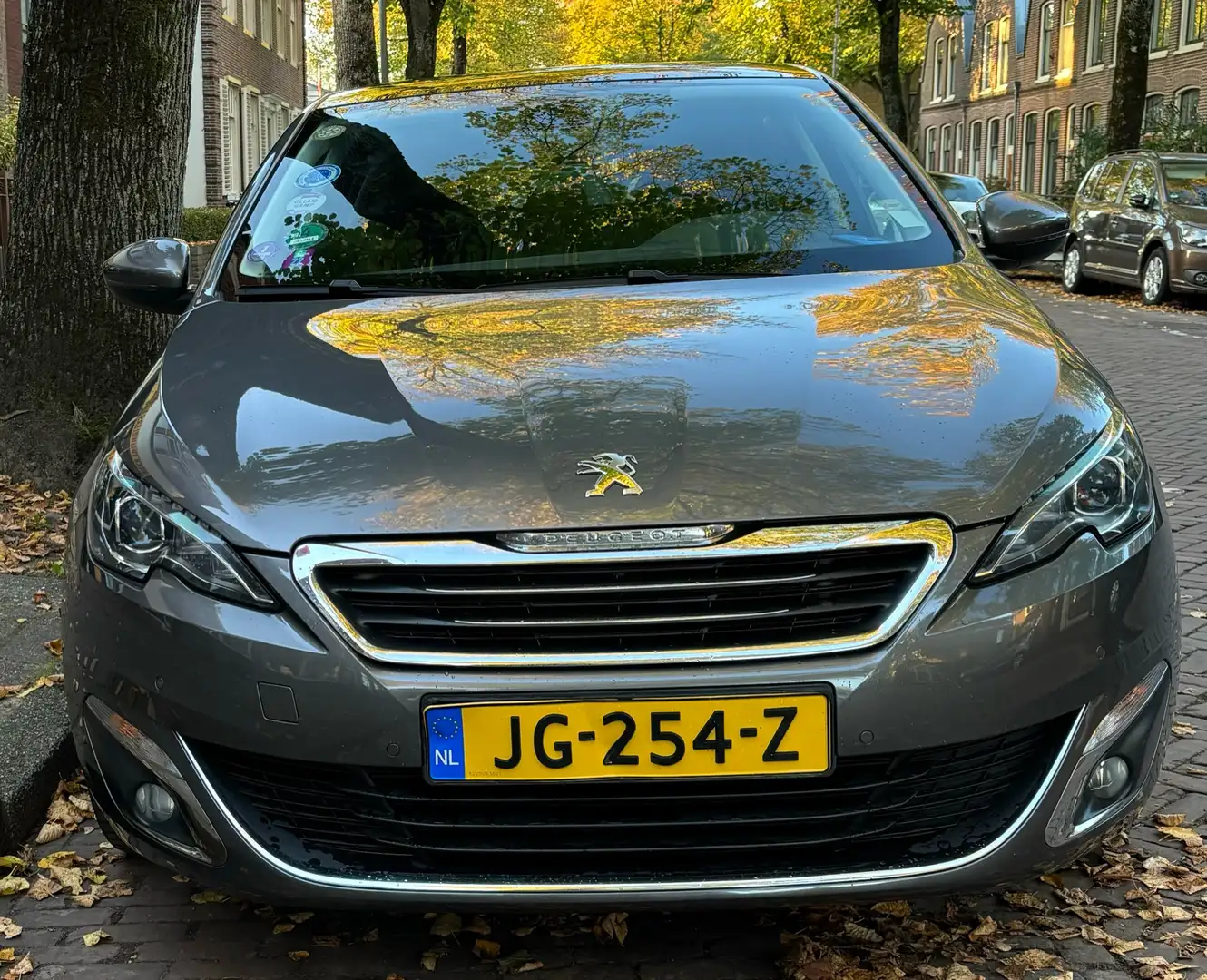 Peugeot 308 1.2 PureT.Blue L. Pr Grijs - 2