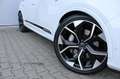 Audi Q7 55 TFSI e QUATTRO PRO LINE S | STAND | LUCHTVERING Blanc - thumbnail 13
