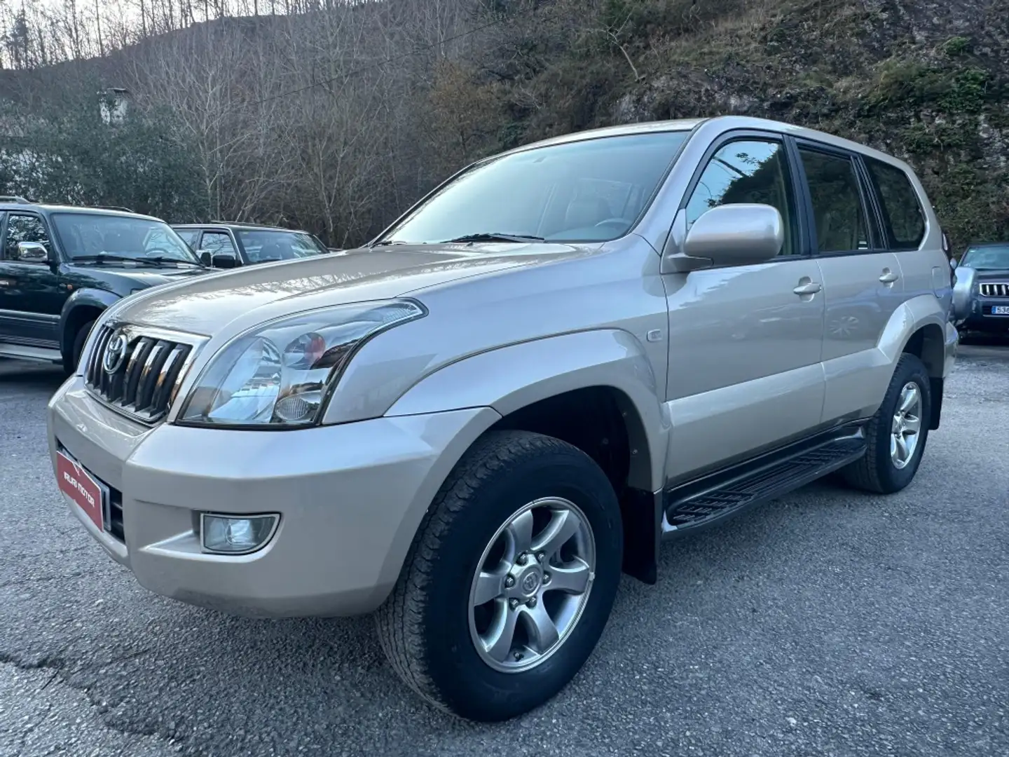 Toyota Land Cruiser D-4D VX Beige - 2