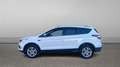 Ford Kuga 1.5 EcoBoost Trend FWD 150 Blanco - thumbnail 7
