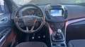 Ford Kuga 1.5 EcoBoost Trend FWD 150 Blanco - thumbnail 12