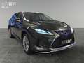 Lexus RX 450h Lang Luxury 7 Sitzer Allwetter+HeadUp+LED Vert - thumbnail 8