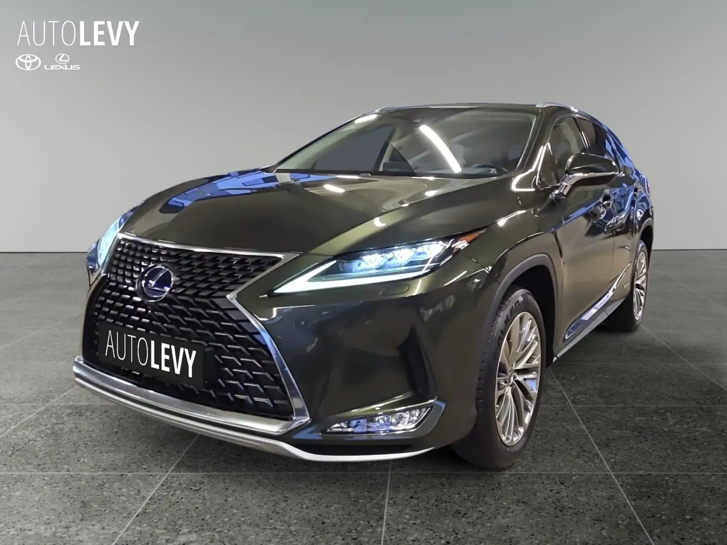 Lexus RX 450h Lang Luxury 7 Sitzer Allwetter+HeadUp+LED Grün - 2