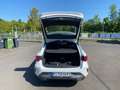 CUPRA Leon Sportstourer 1.5 e-HYBRID DSG, NAVI, RFK Weiß - thumbnail 15