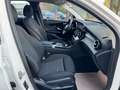 Mercedes-Benz GLC 220 d 4Matic *2.HAND*TÜV NEU*STHZ*AHK*ACC* Weiß - thumbnail 12