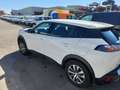 Peugeot 2008 1.2 PureTech S&S Active 100 Blanco - thumbnail 3