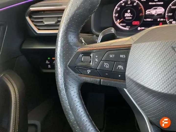 Cupra Formentor 2.0 TSI 4Drive DSG 2021, foto 16