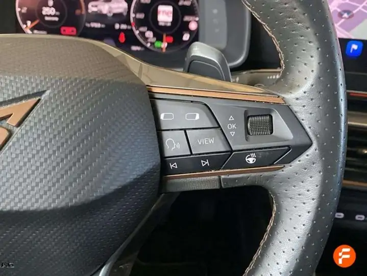 Cupra Formentor 2.0 TSI 4Drive DSG 2021, foto 17