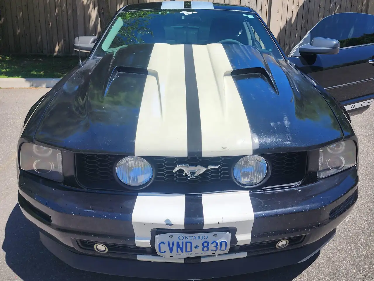 Ford Mustang снимка Ford Mustang