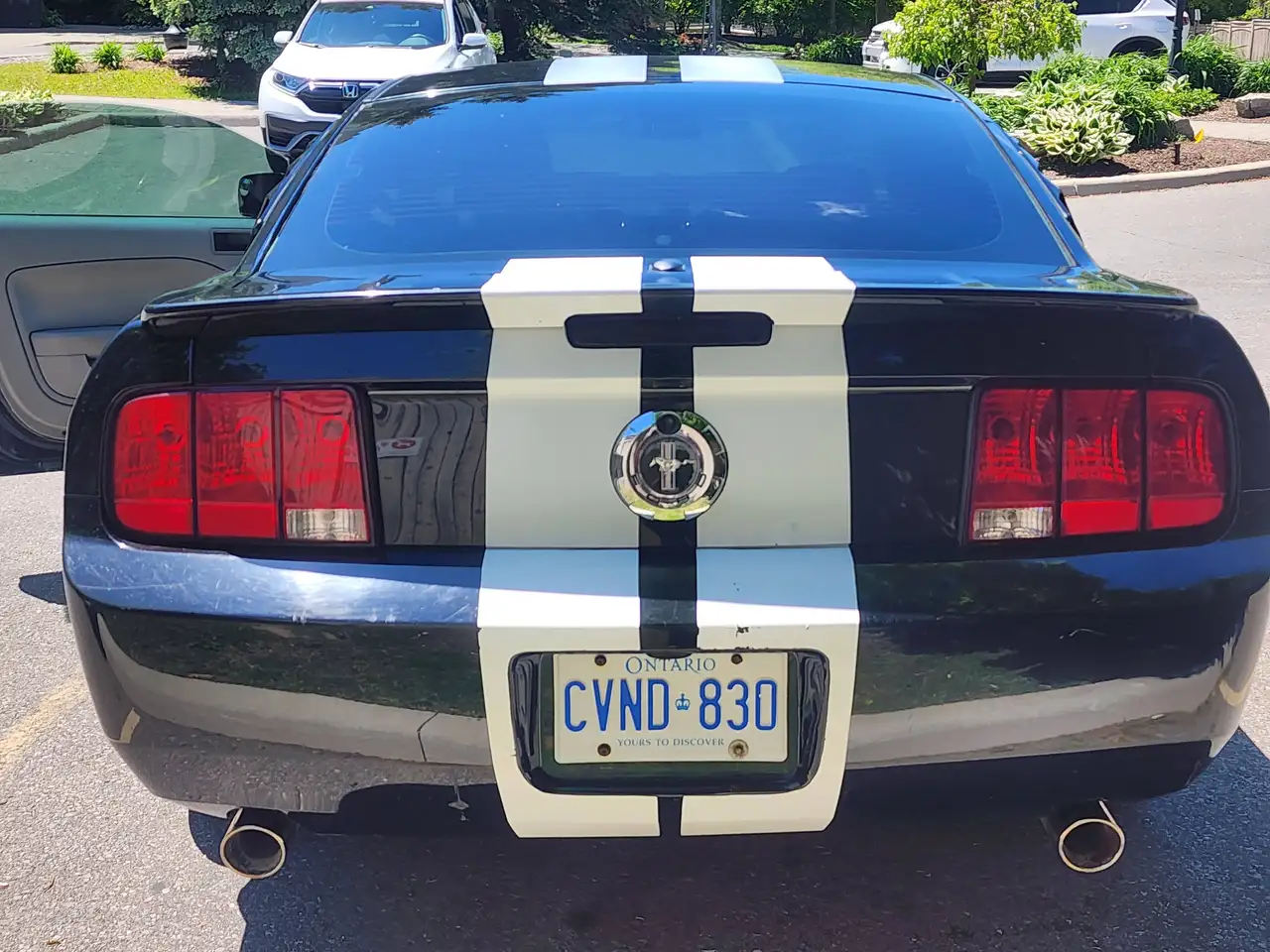 Ford Mustang снимка Ford Mustang