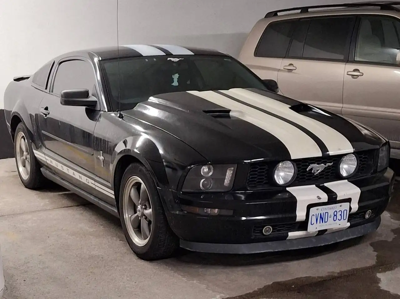 Ford Mustang снимка Ford Mustang