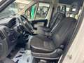 Peugeot Boxer 2.0 hdi/5+1 pl/GEKEURD/CAR PASS/euro 6b/€10735+ Wit - thumbnail 10
