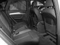 Audi Q5 50 TFSI e quattro S line LM19 Navi+ Businessp. ... Weiß - thumbnail 8